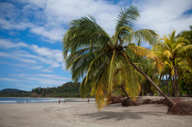 Explore Costa Rica's lush Pacific Coast