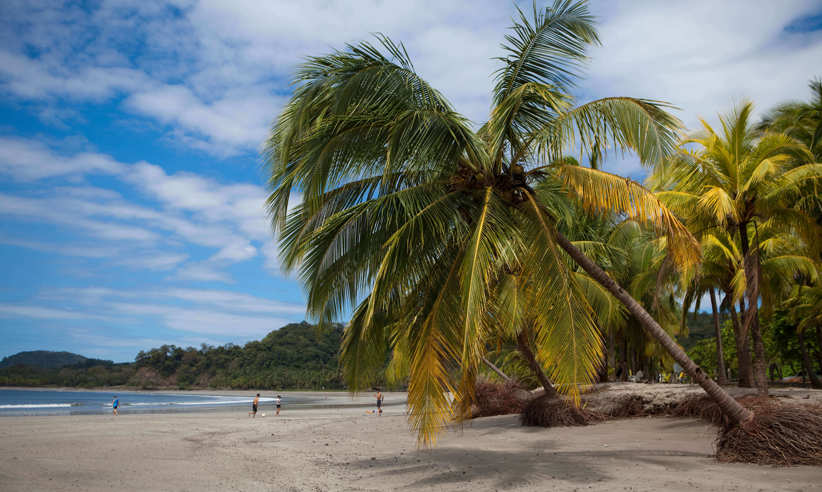 Explore Costa Rica's lush Pacific Coast