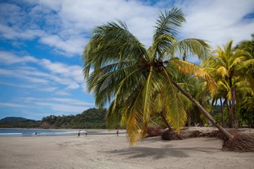 Explore Costa Rica's lush Pacific Coast