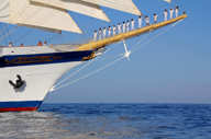 Your crew provide the best service 