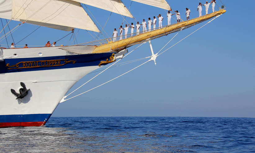 Your crew provide the best service 