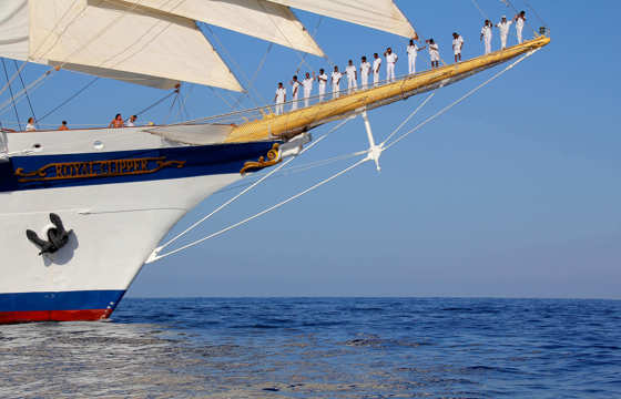Your crew provide the best service 