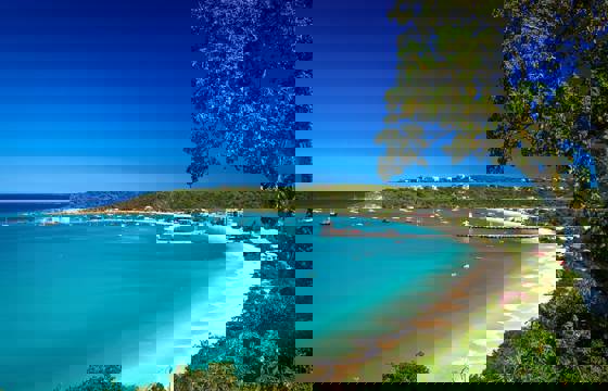 Poc Anguilla