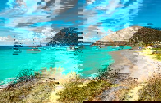 Poc Jost Van Dyke