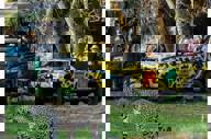 Spotting a Jaguar