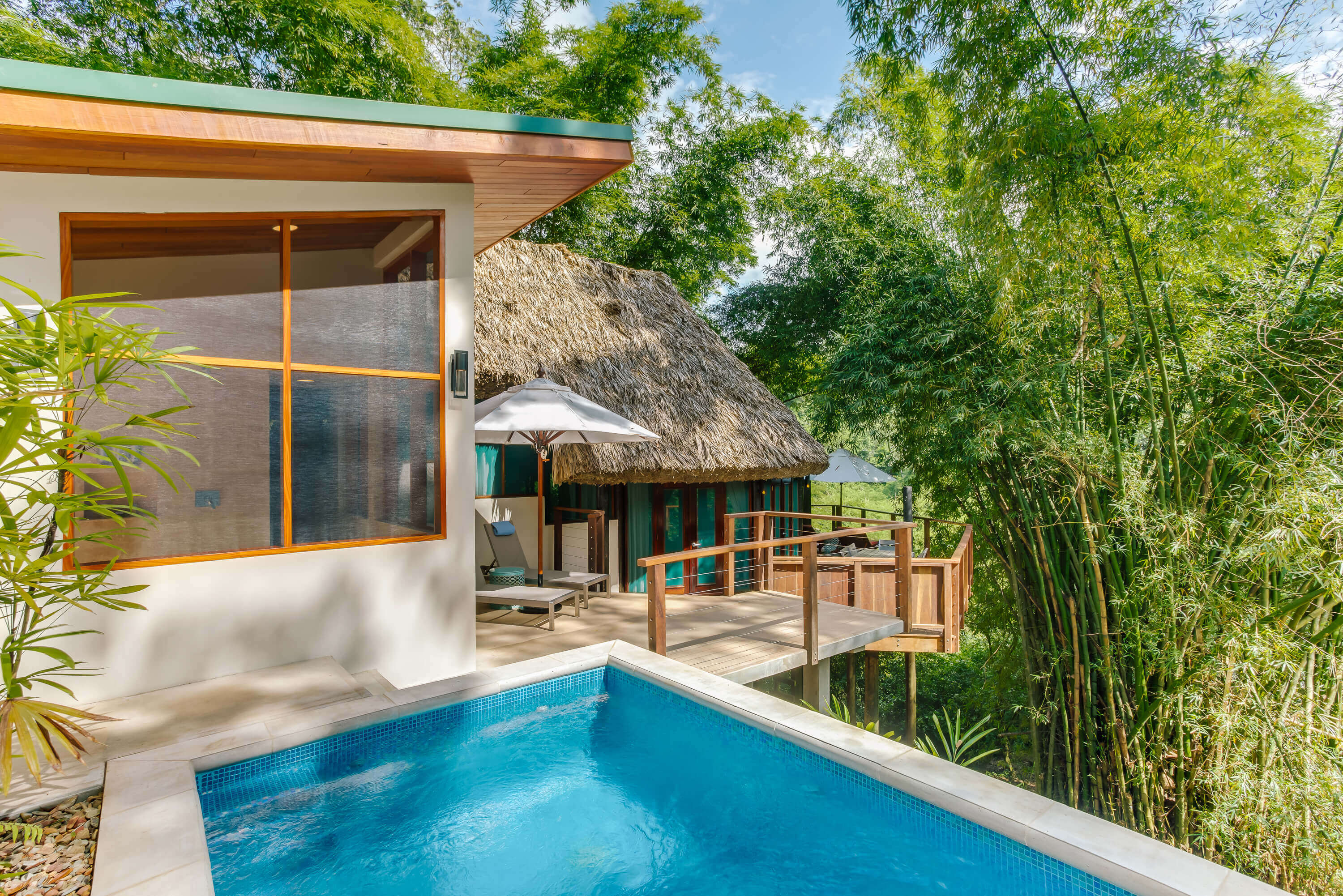 The amazing tree top villa