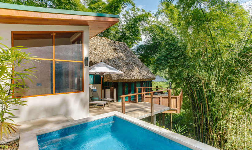 The amazing tree top villa