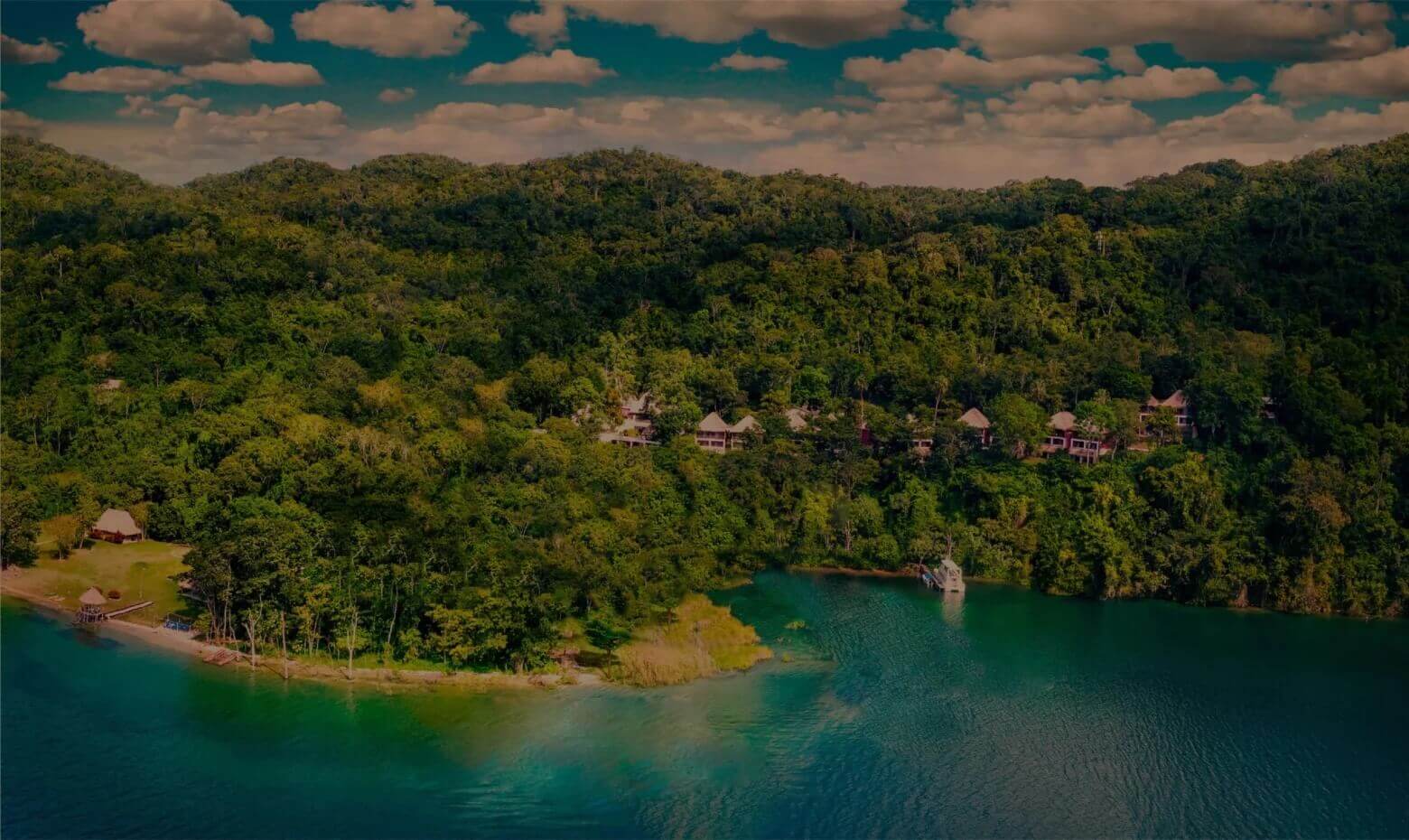 Wonderful forest location 