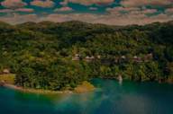 Wonderful forest location 