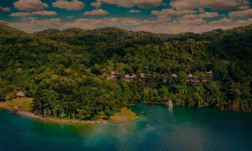 Wonderful forest location 
