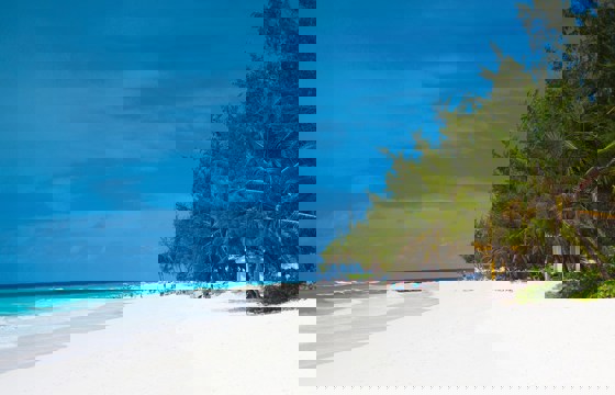 Barbados 84562 1280 Pixabay
