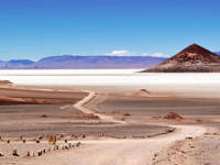 Argentine nord