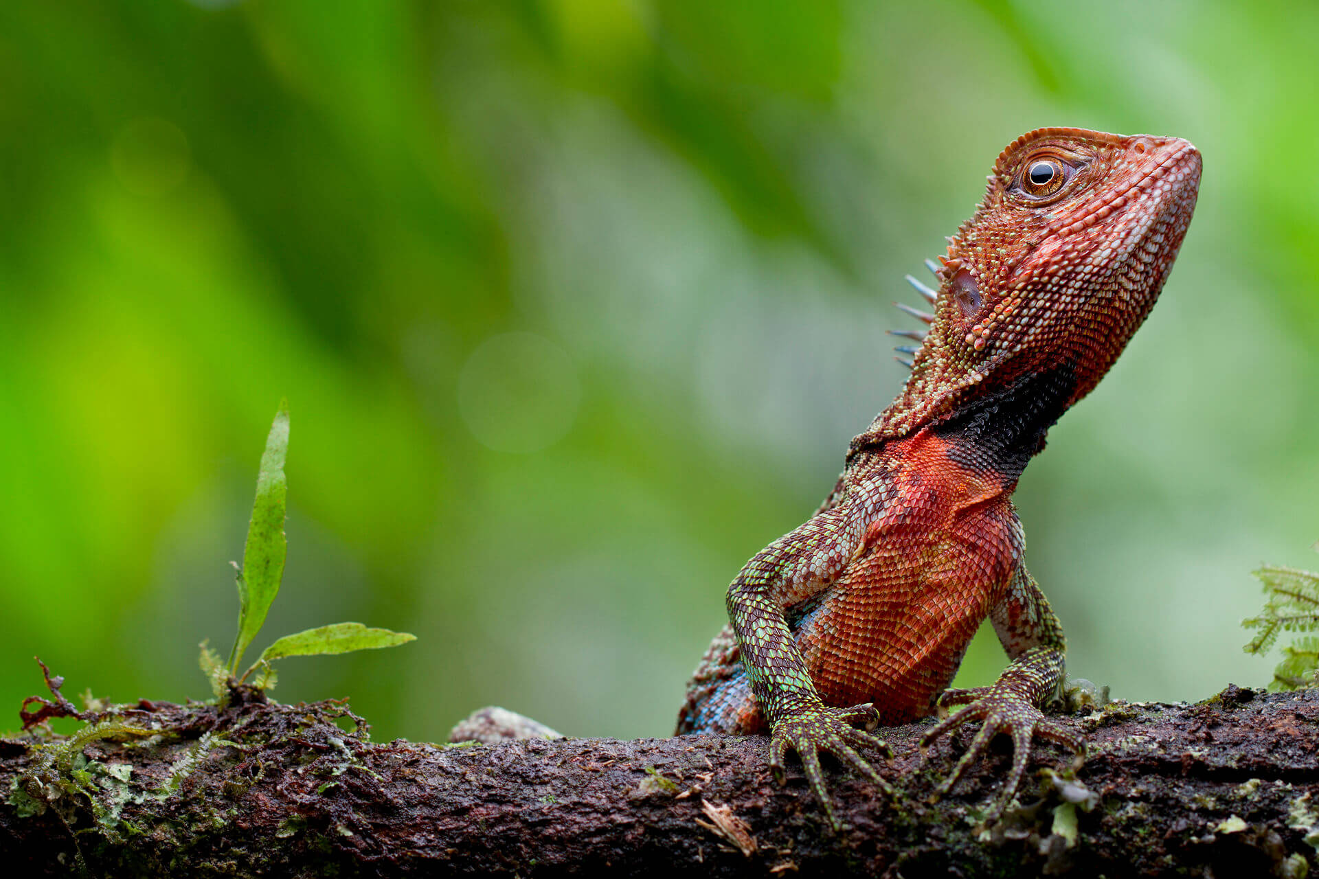 Exotic wildlife waiting to be discovered