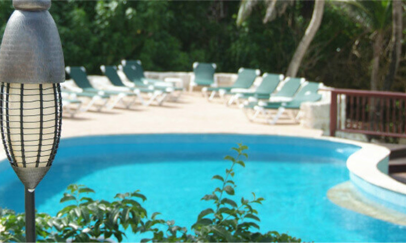 The pool