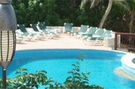 The pool