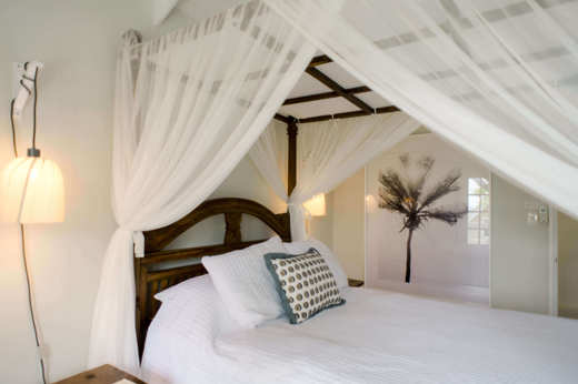 Garden Suite 