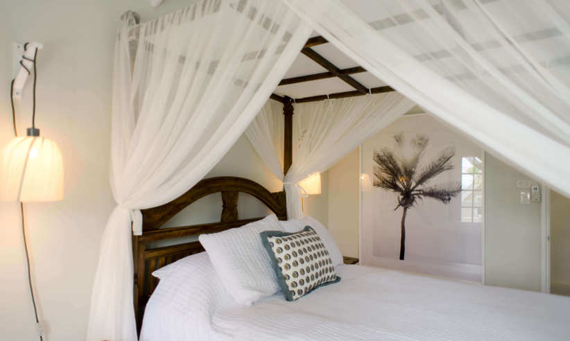 Garden Suite 