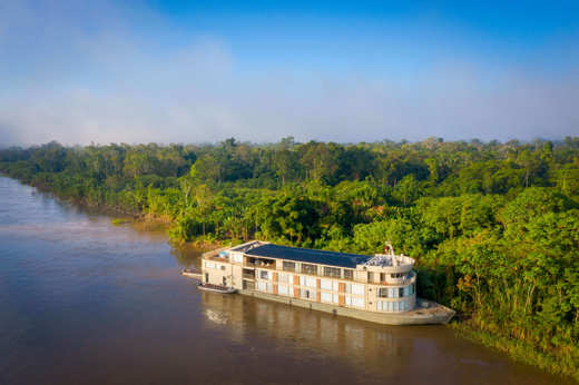 Getting close to the rainforest 