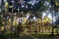 JARDIM 10