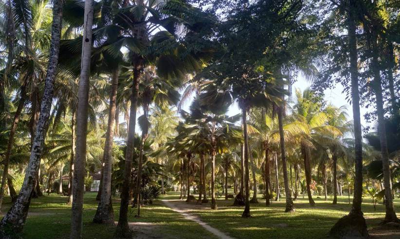 JARDIM 10