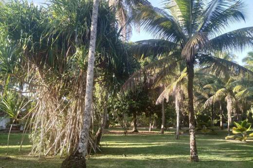 JARDIM 11