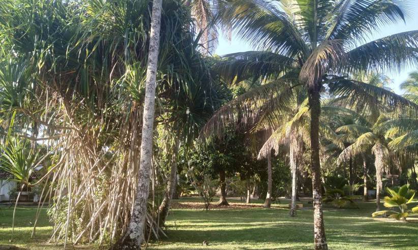 JARDIM 11