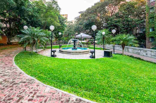 The garden