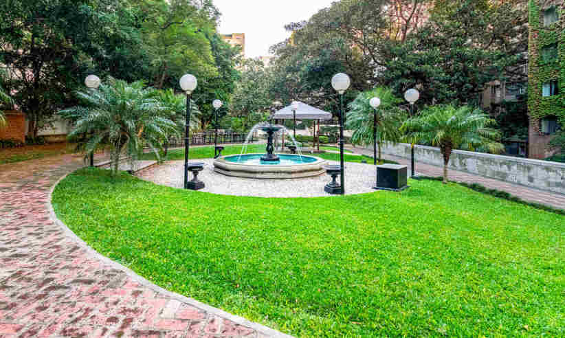 The garden