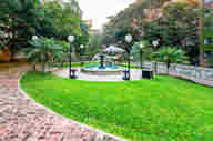 The garden