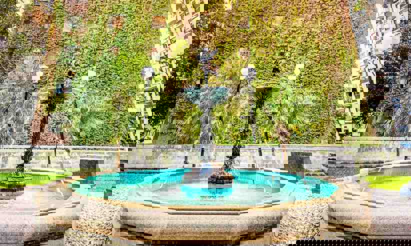 The garden