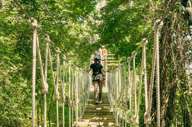 Explore the coastal rainforest