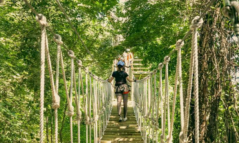Explore the coastal rainforest