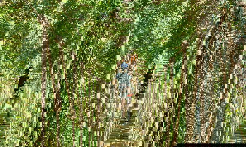 Explore the coastal rainforest