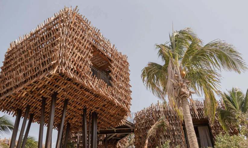 The treehouse suite 