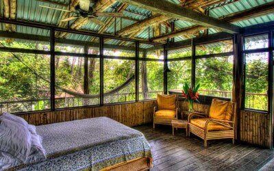 The beach house 