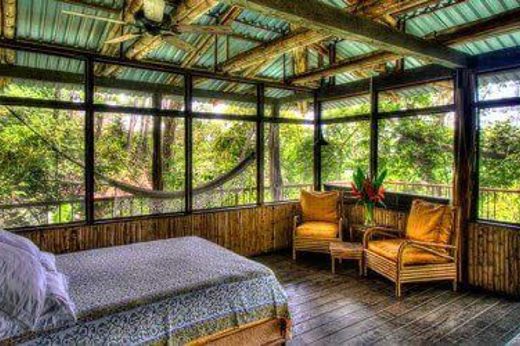 The beach house 