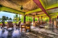 The restaurant 