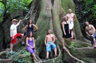 Adventures in the rainforest