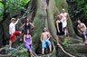 Adventures in the rainforest
