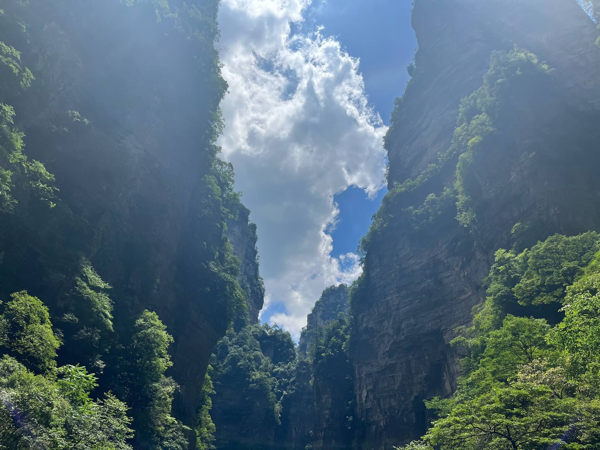 Avatar View