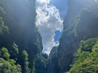Avatar View