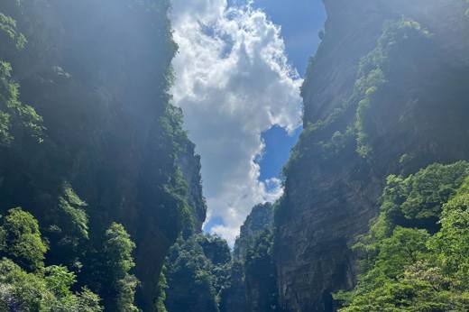 Avatar View