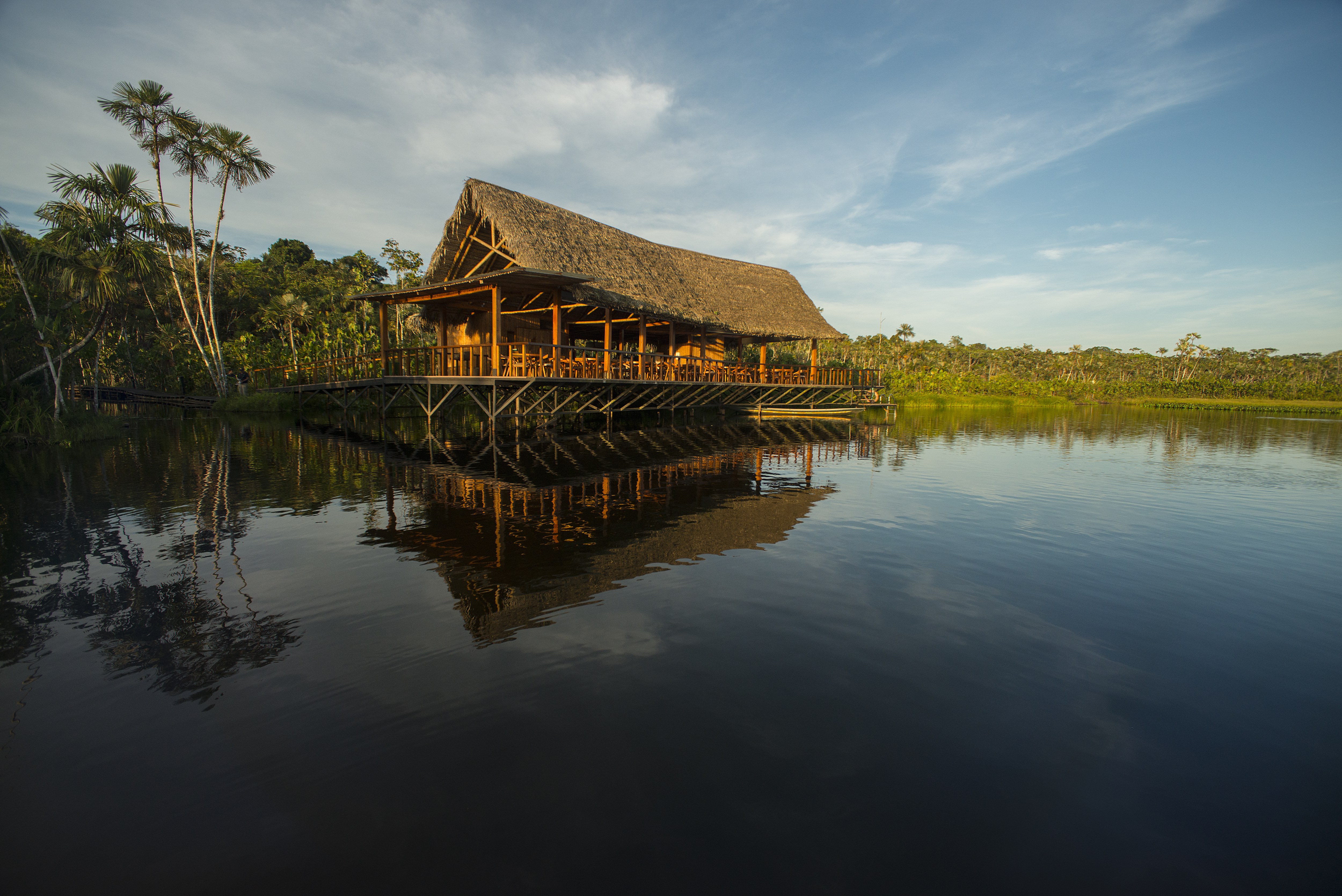 Lodge Sacha Lodge 0249340