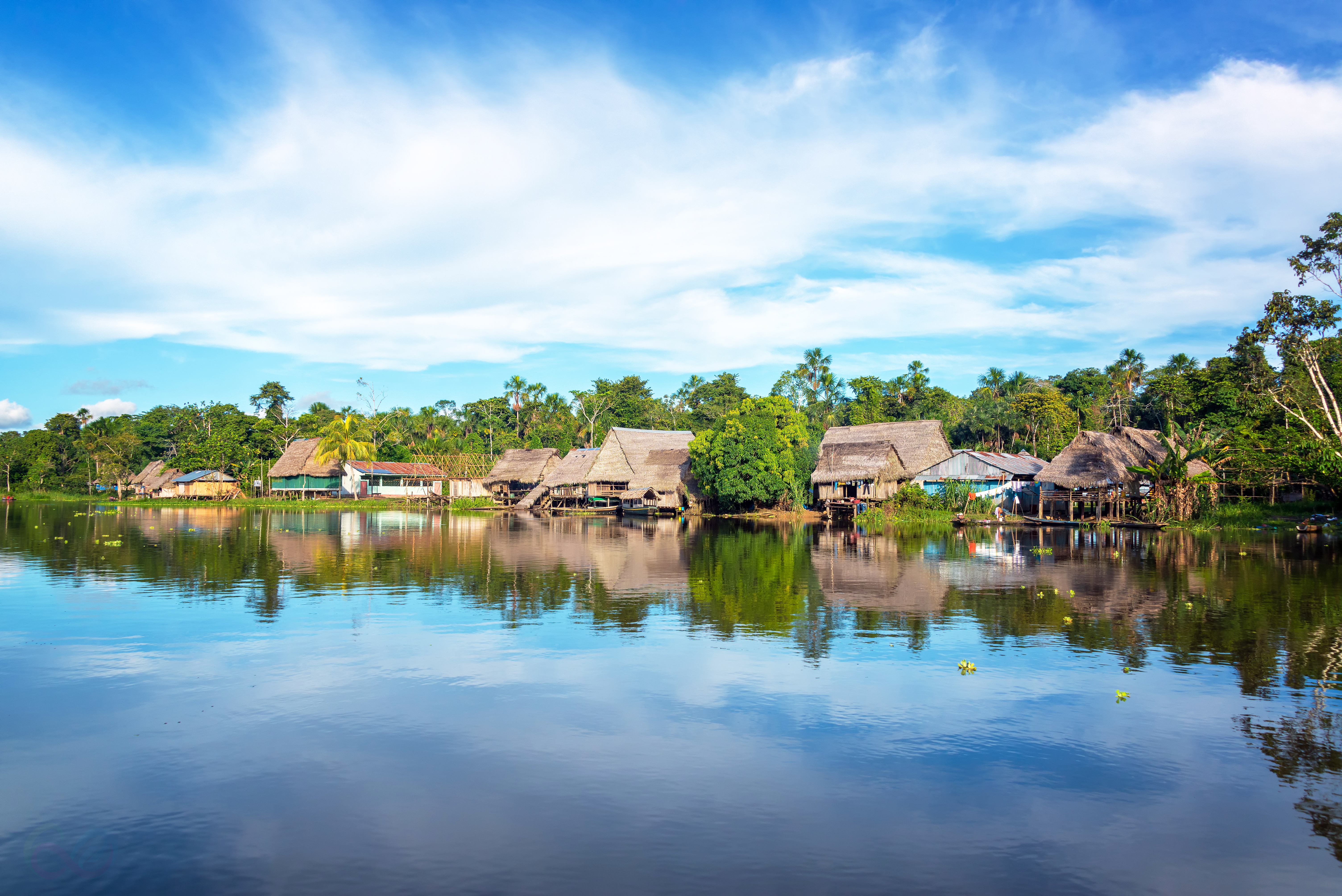 Amazonas 10