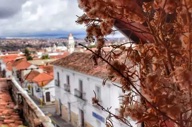 Galeria 11