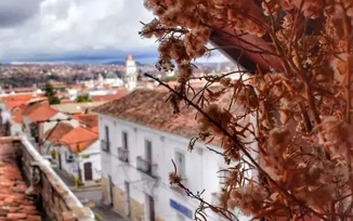 Galeria 11