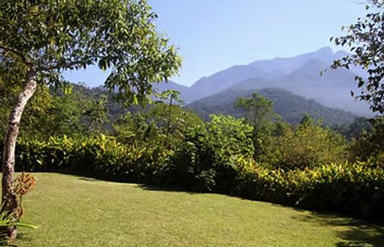 Visitacao2