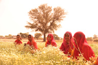Mharo Khet 27