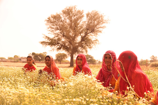 Mharo Khet 27