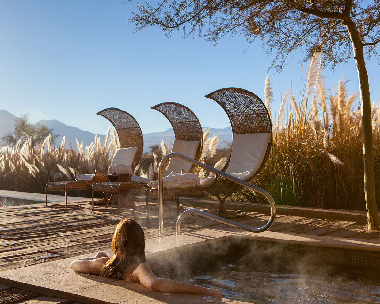 Sundrenched Sanctuary
